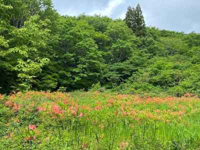 下山時には晴れ間も（じゅんさい池） 