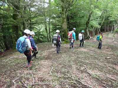 鬼石沢とマスキ嵐沢の間の尾根を下山 