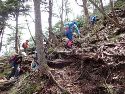 小太郎山までの急登 