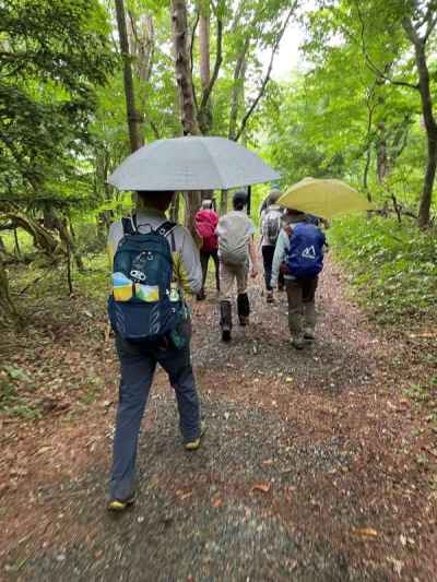 下山。最後まで雨でした 