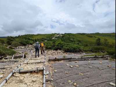 折立登山口から太郎平小屋に向かう 