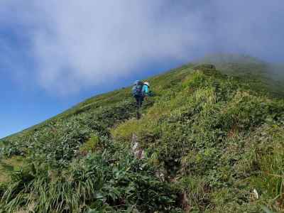 万太郎山への急登 