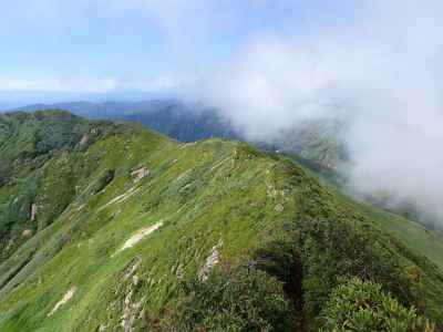 万太郎山から続く尾根 