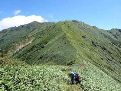 万太郎山から来た道 