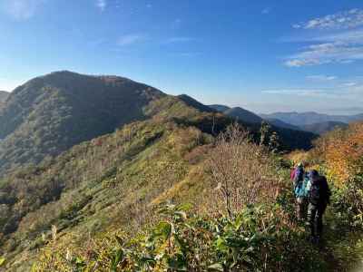 大源太山まではなだらかな道 