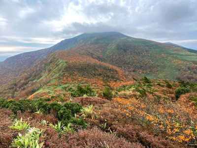 箕輪山への錦繍の尾根