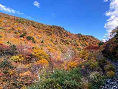 圧巻の紅葉を愛でる登山道