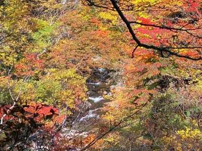 錦繍の湯川渓谷