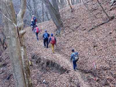 落ち葉の絨毯を下山 