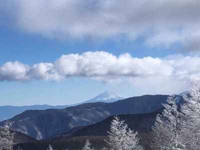 富士山は見えました