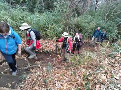 登山道を行く 