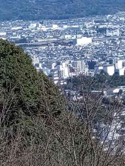 本丸跡から小田原城をのぞむ 