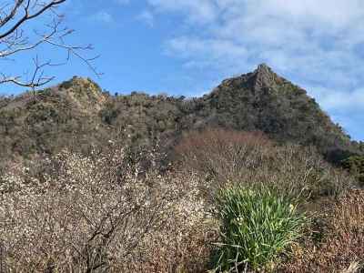 伊予ヶ岳を振り返る 