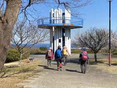 田浦梅林で