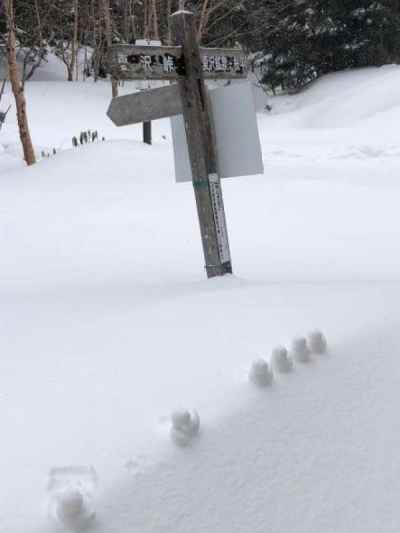 オーレン小屋の前で雪玉アヒル