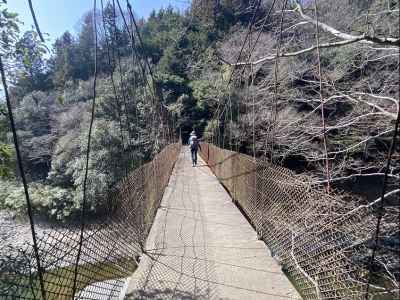 桂川に架かるつり橋を渡る 