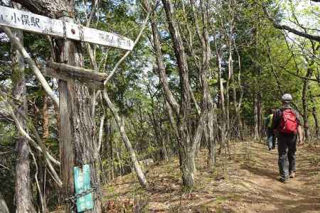 湯殿山への道は通行止め 