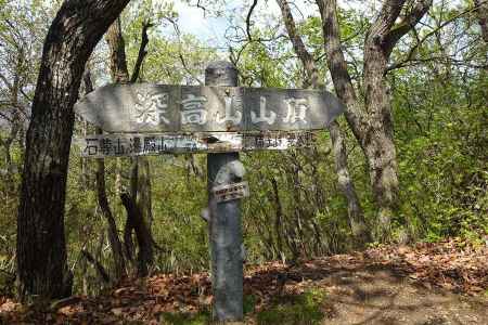 深高山は足利百名山