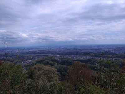 山上からの景色