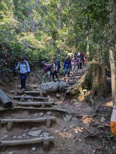 御幸ヶ原コースを下山 