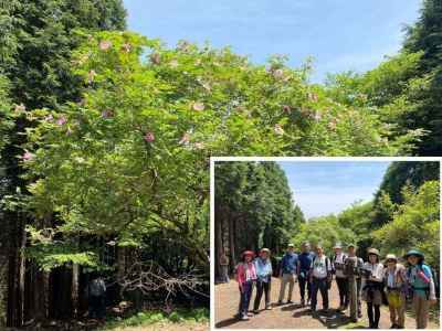 不老山頂に全員集合 