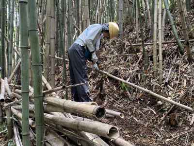 新人作業中 