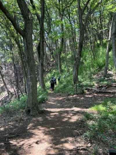 気持ちの良い登山道