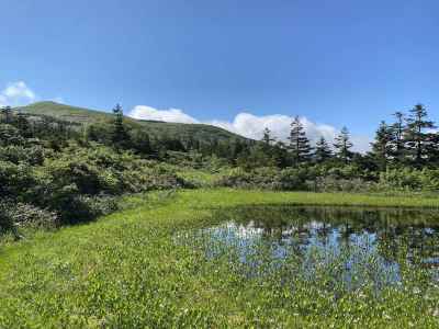 池塘と乳頭山 