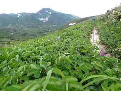 秋田駒八合目バス停へ向け下山、今日はあそこまで 