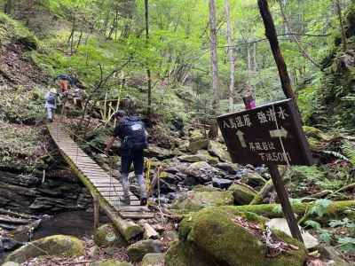 八島湿原に向かう木橋 