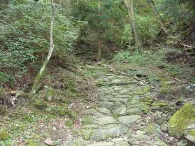 焼山寺へ四国のみち 