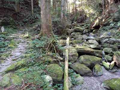 横峰寺四国のみち