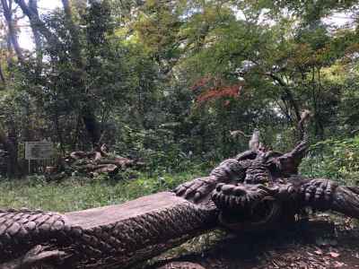 木彫りの龍ベンチ