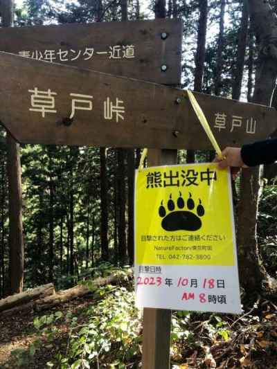 高尾山にも熊が 