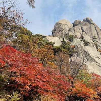 紅葉と岩山 