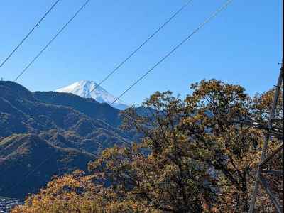 富士山が綺麗 