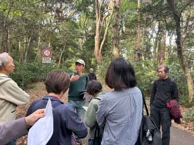 西参道で森の遷移を実感