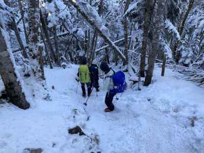 縞枯山の下降