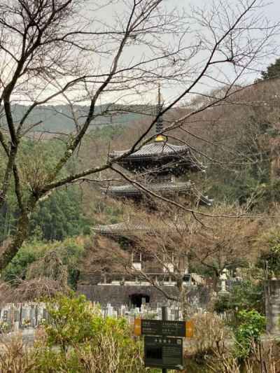 浄発願寺が見えた