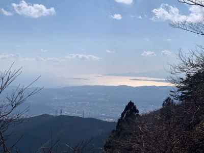 相模湾が光って見える 