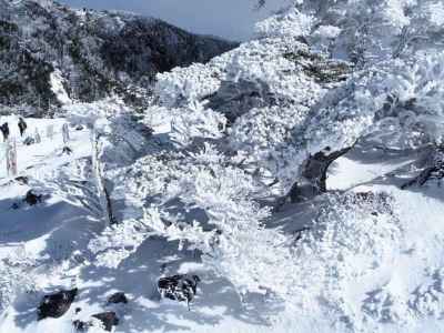 雪化粧の景色は、最高！ 