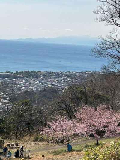 湘南平からの景色 