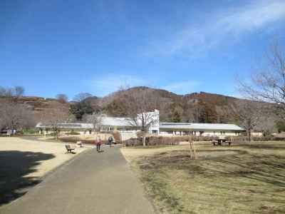 手入れが行き届いた美しい公園 