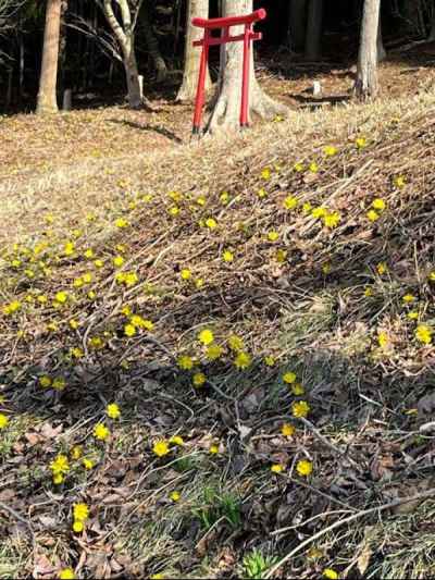 宮之前群生地は私有地です 