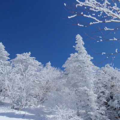 青空に恵まれた好日 