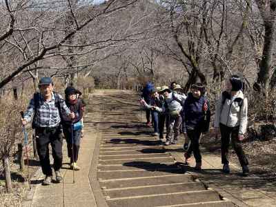 権現山への階段