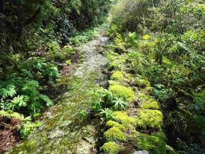 八鬼山水没した熊野古道 