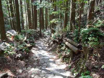 ツヅラト峠　峠を越えると石畳