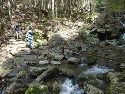 ツヅラト峠