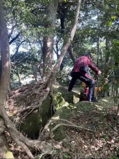 尾根上にある大きく割れた岩（砂岩泥岩） 